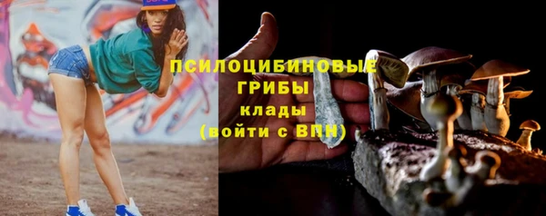 гашик Абдулино