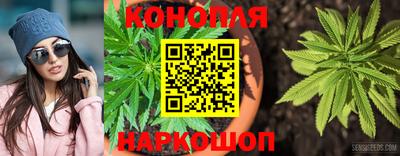 прущие крисы Обь