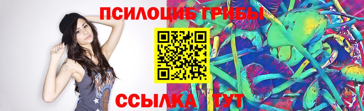 Торжок  Галлюциногенные грибы мухоморы  Вход с VPN 